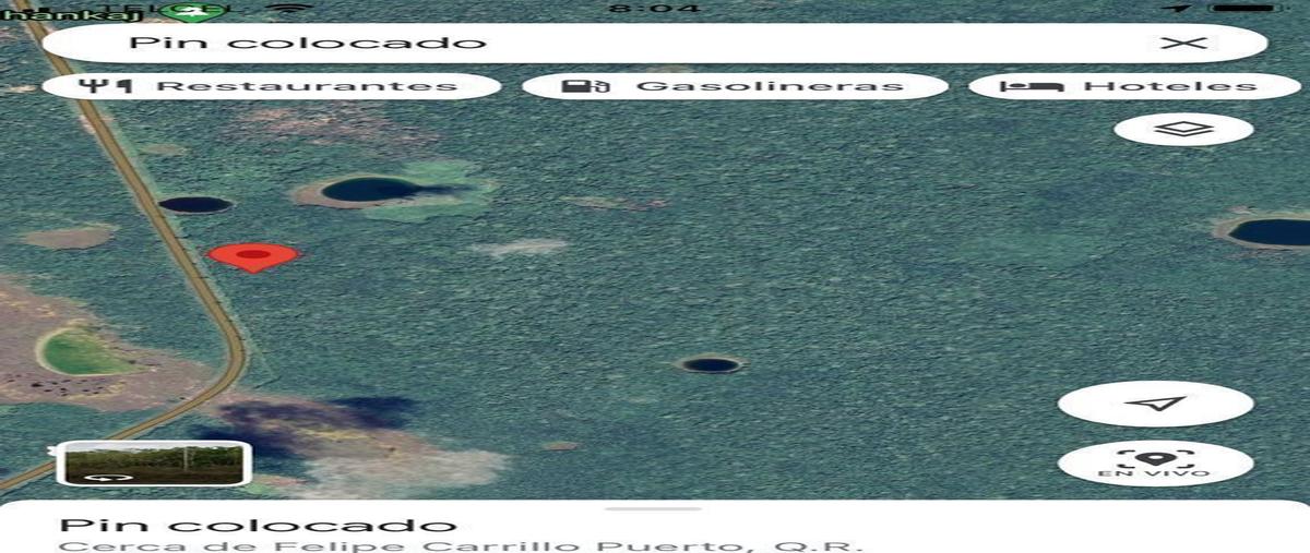 Foto de rancho en 307 , reforma agraria, felipe carrillo puerto, quintana roo, 27443626 foto 02 Foto de rancho en venta en 307 , reforma agraria, felipe carrillo puerto, quintana roo, 27443626 No. 02