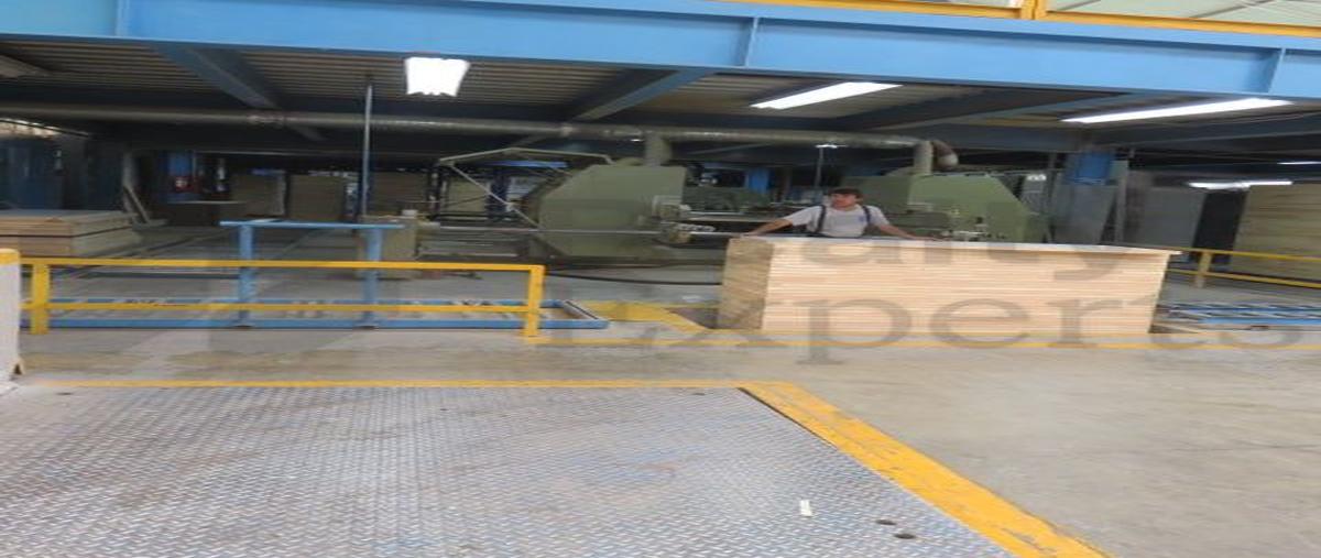 Foto de nave industrial en venta en  309, parque industrial escobedo, general escobedo, nuevo león, 31481952 No. 05