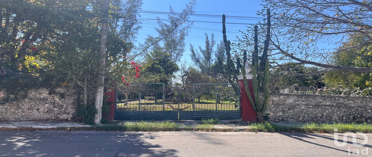 Foto de terreno habitacional en venta en 31 333, leandro valle, mérida, yucatán, 30739823 No. 04
