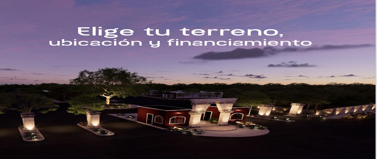 Foto de terreno habitacional en 31 , sacapuc, motul, yucatán, 0 foto 05 Foto de terreno habitacional en venta en 31 , sacapuc, motul, yucatán, 0 No. 05