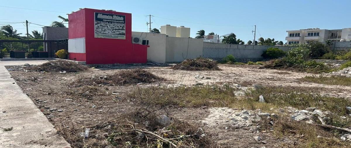 Foto de terreno habitacional en venta en 31 , yucalpeten, progreso, yucatán, 28534080 No. 03