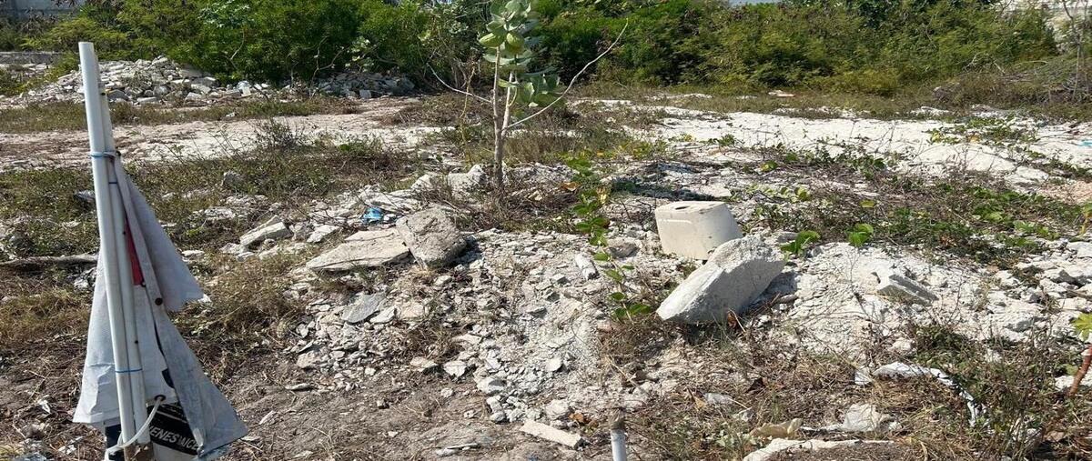 Foto de terreno habitacional en venta en 31 , yucalpeten, progreso, yucatán, 28534080 No. 04