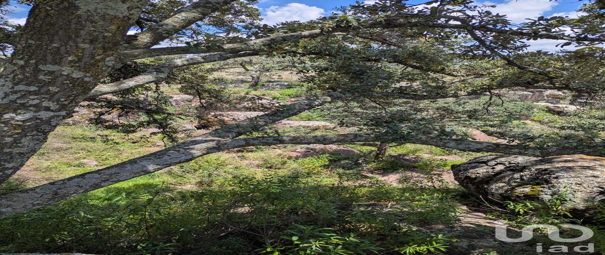 Foto de terreno habitacional en venta en 310 , el bothé, amealco de bonfil, querétaro, 30291473 No. 03