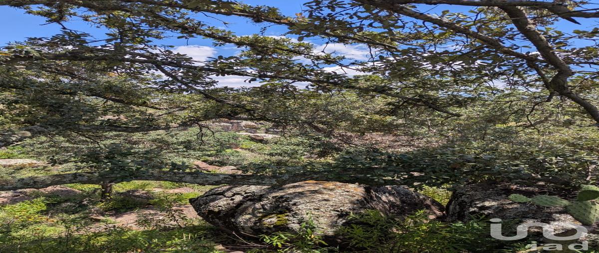 Foto de terreno habitacional en venta en 310 , el bothé, amealco de bonfil, querétaro, 30291473 No. 04