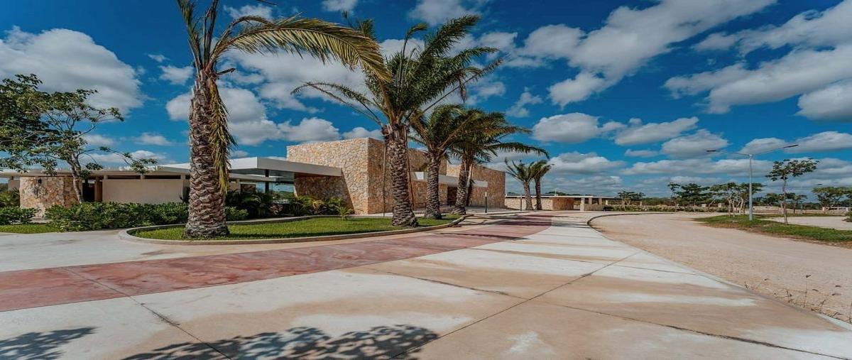 Foto de terreno habitacional en venta en 32 , centro hunucmá, hunucmá, yucatán, 0 No. 05