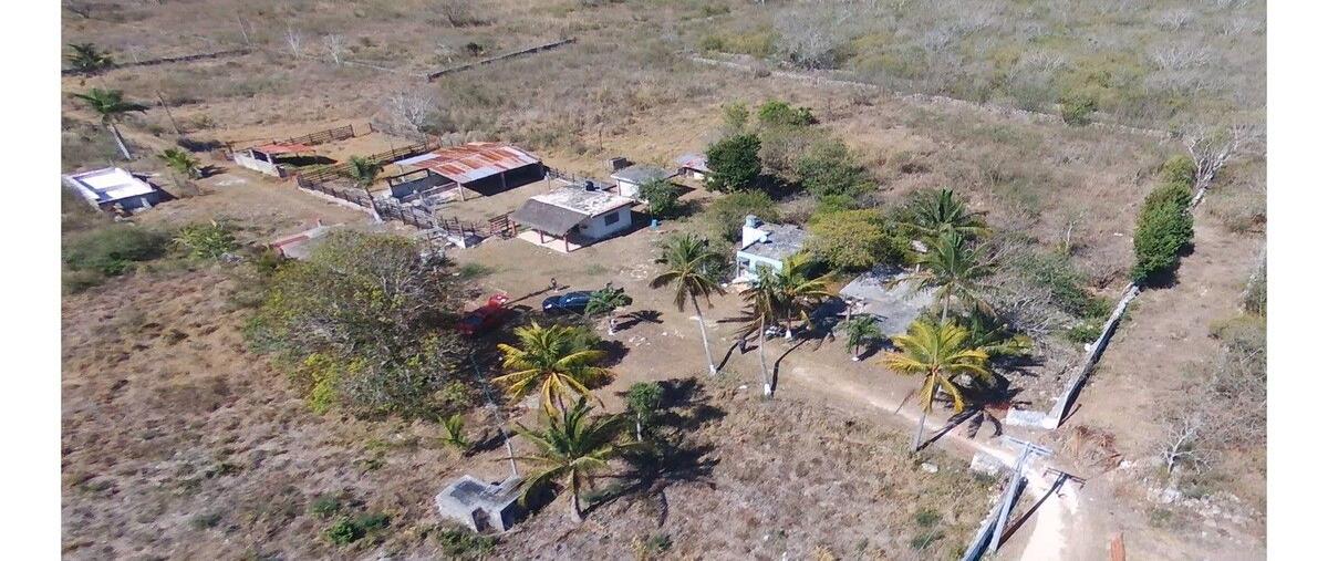 Foto de rancho en 32 , dzemul, dzemul, yucatán, 0 foto 03 Foto de rancho en venta en 32 , dzemul, dzemul, yucatán, 0 No. 03