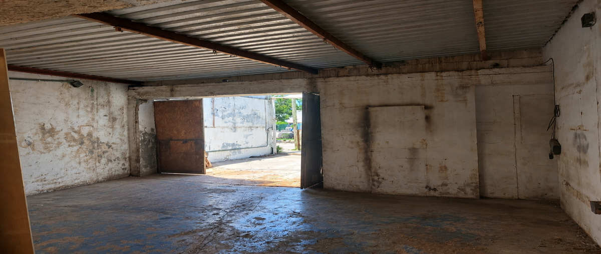 Foto de local en renta en 32 , garcia gineres, mérida, yucatán, 0 No. 03