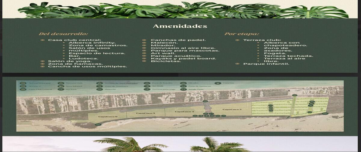 Foto de terreno habitacional en 32 , san diego, dzemul, yucatán, 29545212 foto 03 Foto de terreno habitacional en venta en 32 , san diego, dzemul, yucatán, 29545212 No. 03