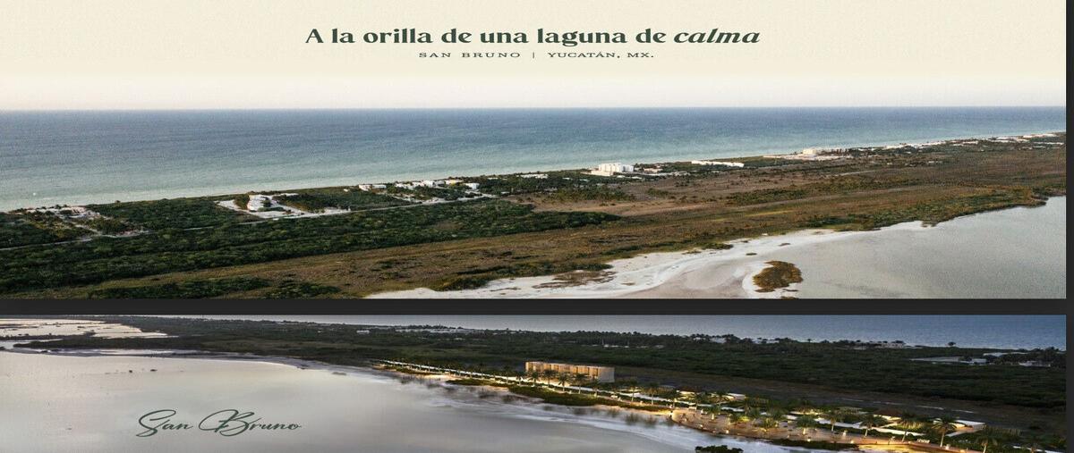 Foto de terreno habitacional en 32 , san diego, dzemul, yucatán, 29545212 foto 05 Foto de terreno habitacional en venta en 32 , san diego, dzemul, yucatán, 29545212 No. 05