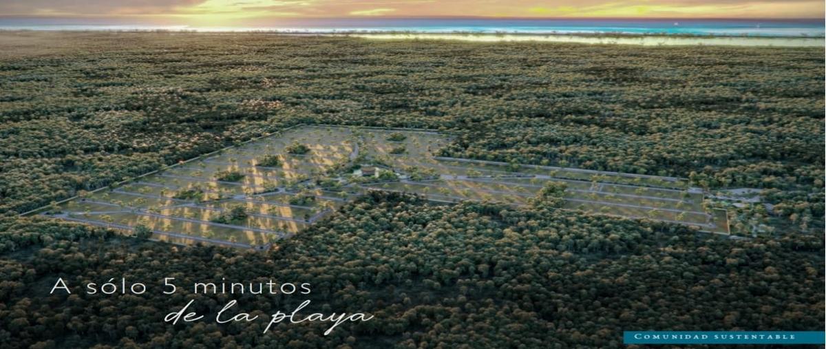 Foto de terreno habitacional en venta en 32 , santa clara, dzidzantún, yucatán, 30469496 No. 03