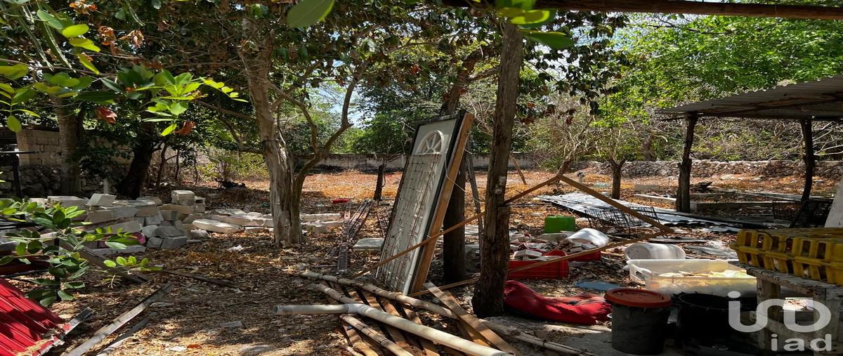 Foto de terreno comercial en renta en 33 286, centro hunucmá, hunucmá, yucatán, 28720574 No. 04