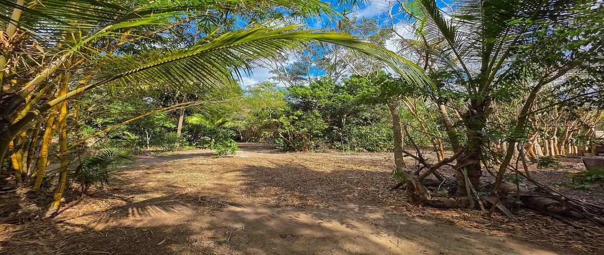 Foto de casa en venta en 33 , chichi suárez, mérida, yucatán, 0 No. 03