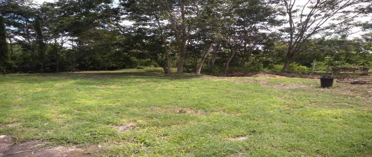 Foto de rancho en venta en 33 , tzucacab centro, tzucacab, yucatán, 27686438 No. 03