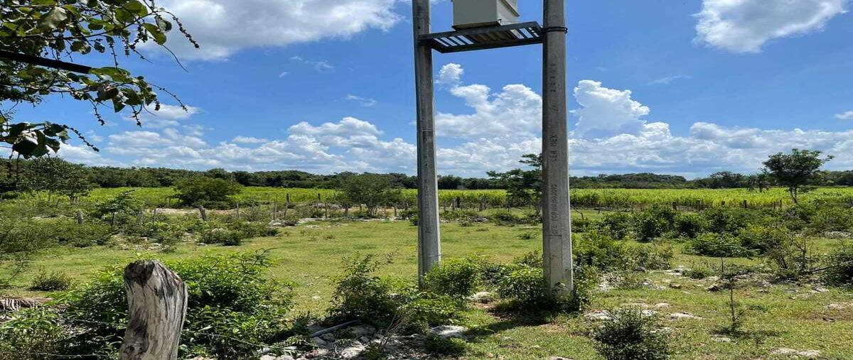 Foto de rancho en venta en 33 , tzucacab centro, tzucacab, yucatán, 27686438 No. 04