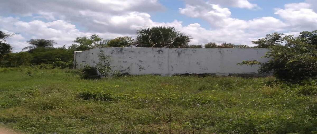 Foto de rancho en venta en 33 , tzucacab centro, tzucacab, yucatán, 27686438 No. 05