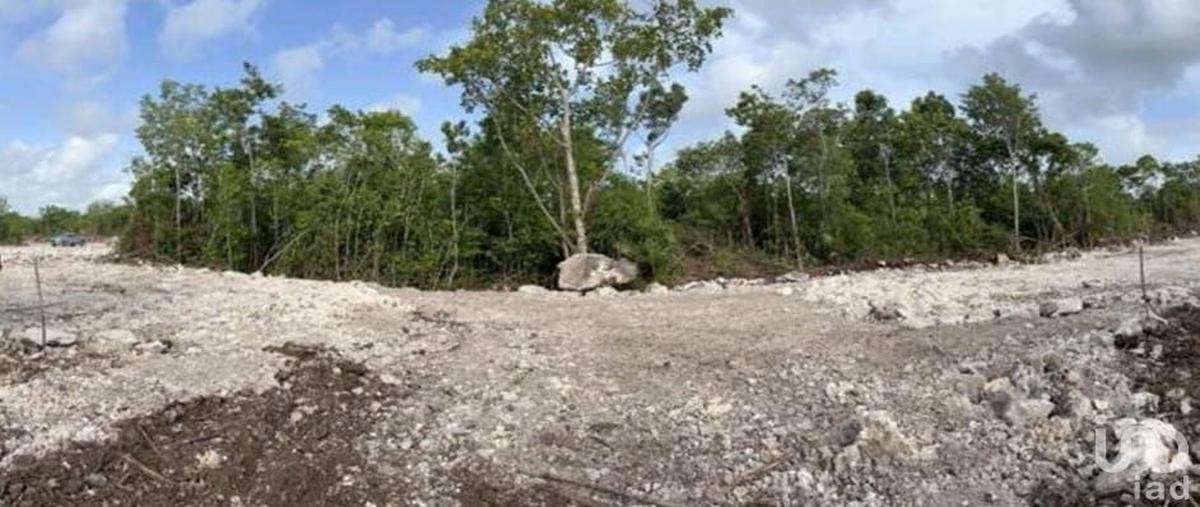 Foto de terreno habitacional en 333 130, supermanzana 326, benito juárez, quintana roo, 30484692 foto 02 Foto de terreno habitacional en venta en 333 130, supermanzana 326, benito juárez, quintana roo, 30484692 No. 02