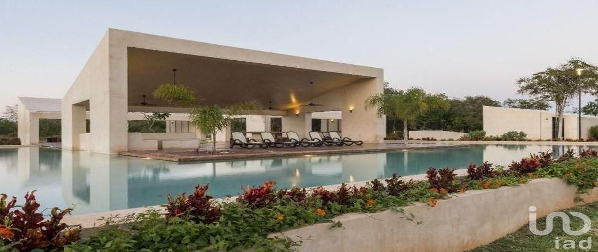 Foto de terreno habitacional en venta en 34 6048, la rejoyada, mérida, yucatán, 28724401 No. 05