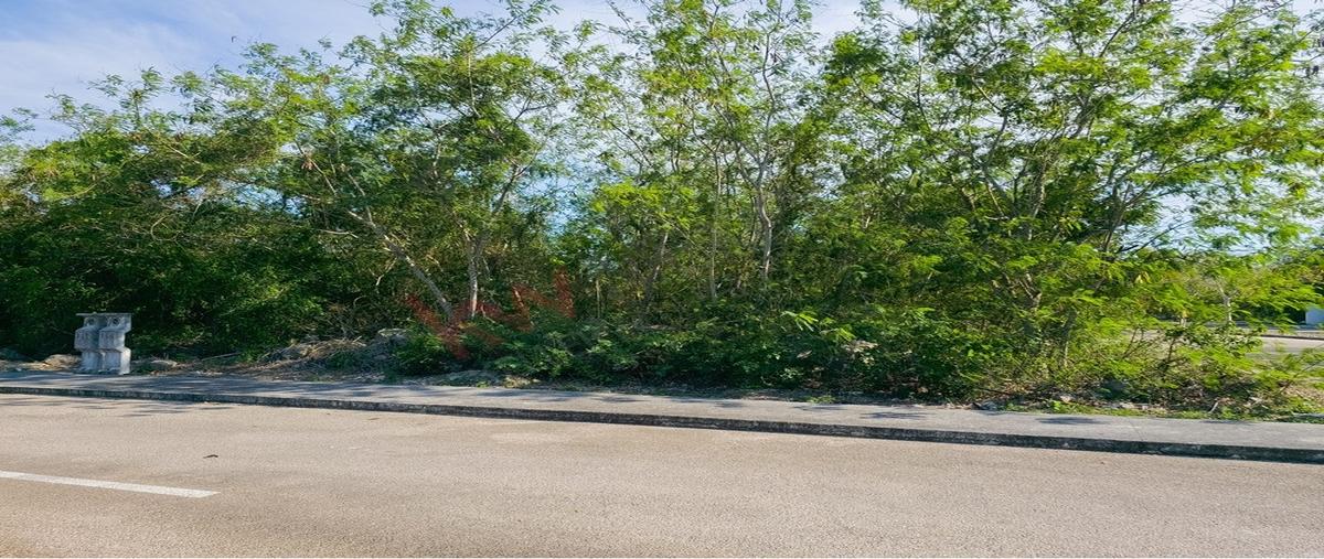 Foto de terreno habitacional en venta en  348, yaxkukul, yaxkukul, yucatán, 0 No. 03