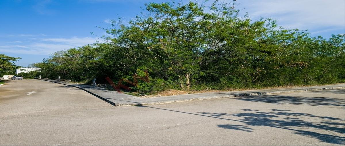 Foto de terreno habitacional en venta en  348, yaxkukul, yaxkukul, yucatán, 0 No. 04