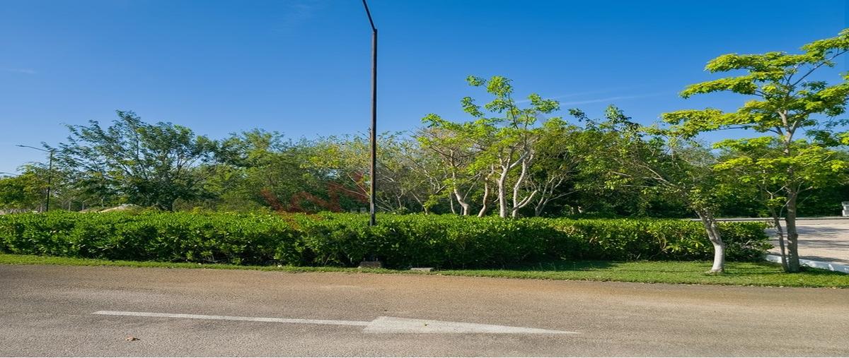 Foto de terreno habitacional en venta en  348, yaxkukul, yaxkukul, yucatán, 0 No. 05