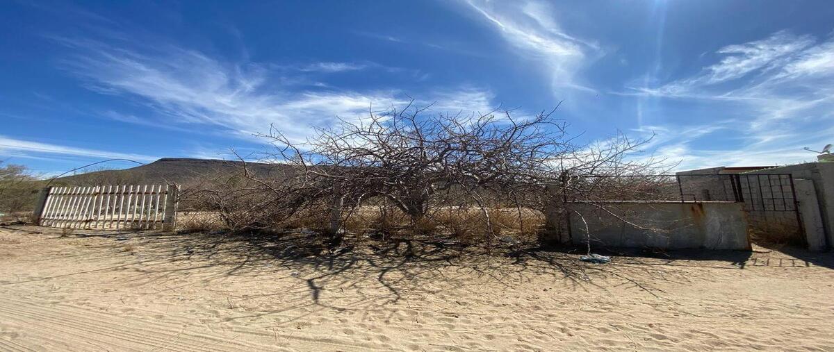 Foto de terreno comercial en venta en 34a , mezquitito, la paz, baja california sur, 29872538 No. 01