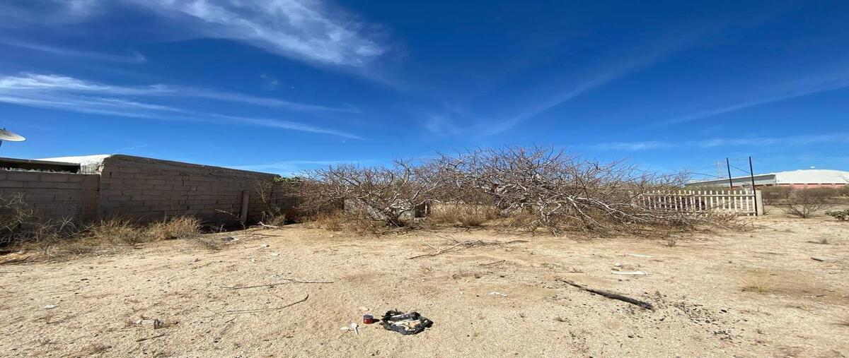 Foto de terreno comercial en venta en 34a , mezquitito, la paz, baja california sur, 29872538 No. 04