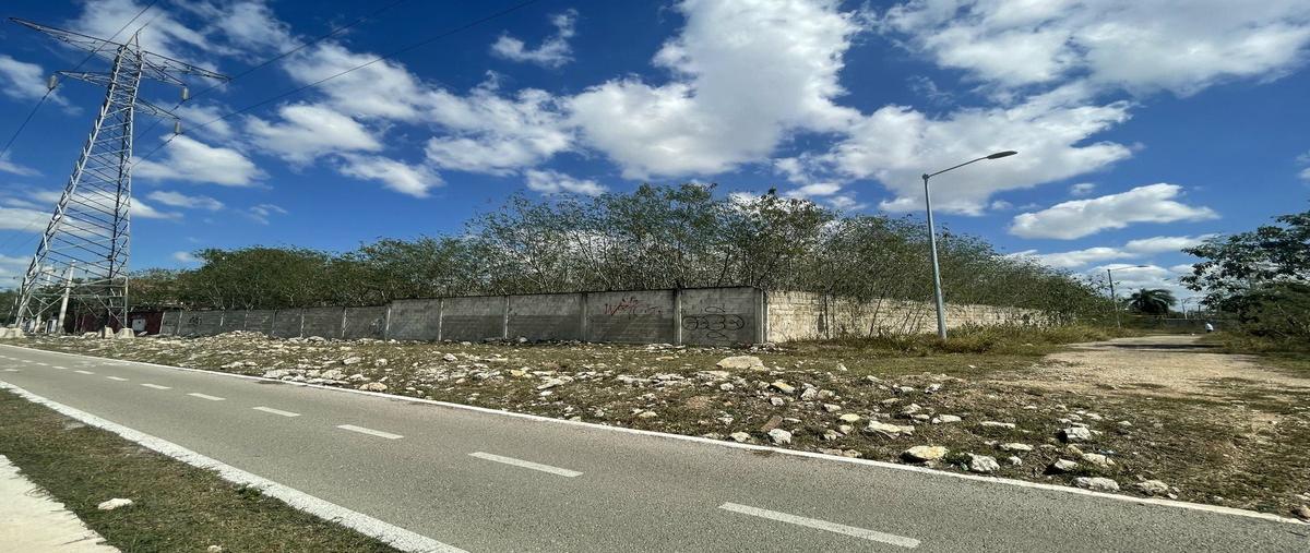 Foto de terreno comercial en renta en 35 diag , chenku, mérida, yucatán, 0 No. 04