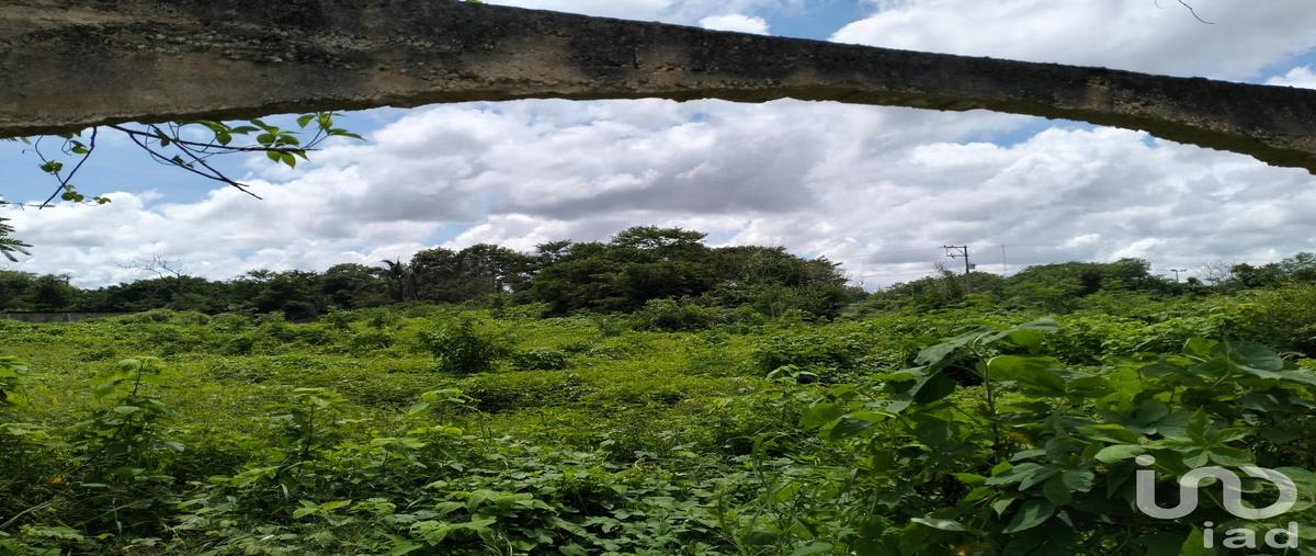 Foto de terreno habitacional en 37 27653, chichi suárez, mérida, yucatán, 28764760 foto 01 Foto de terreno habitacional en venta en 37 27653, chichi suárez, mérida, yucatán, 28764760 No. 01