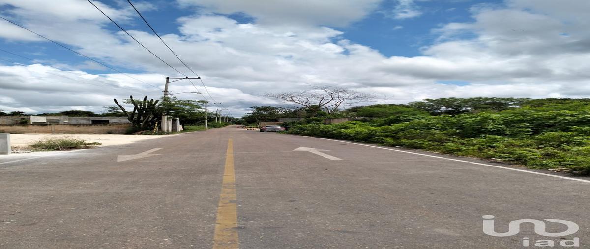 Foto de terreno habitacional en 37 27653, chichi suárez, mérida, yucatán, 28764760 foto 05 Foto de terreno habitacional en venta en 37 27653, chichi suárez, mérida, yucatán, 28764760 No. 05