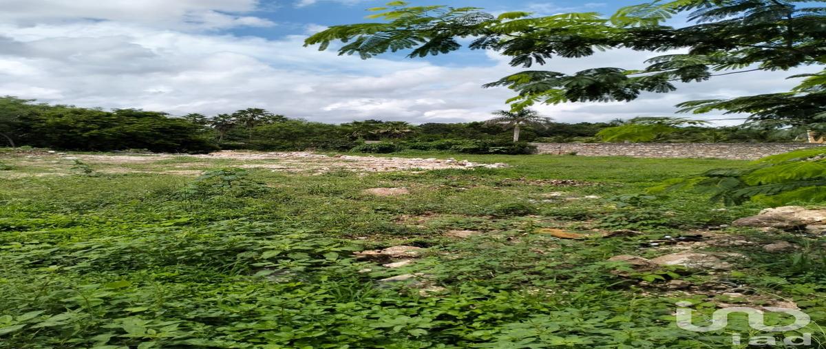 Foto de terreno habitacional en venta en 37 27712, chichi suárez, mérida, yucatán, 28764760 No. 04
