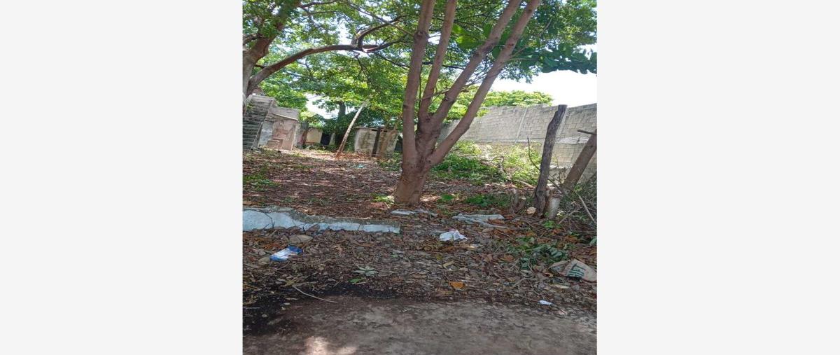 Foto de terreno comercial en renta en 37 5, héctor pérez martínez, carmen, campeche, 27086323 No. 03