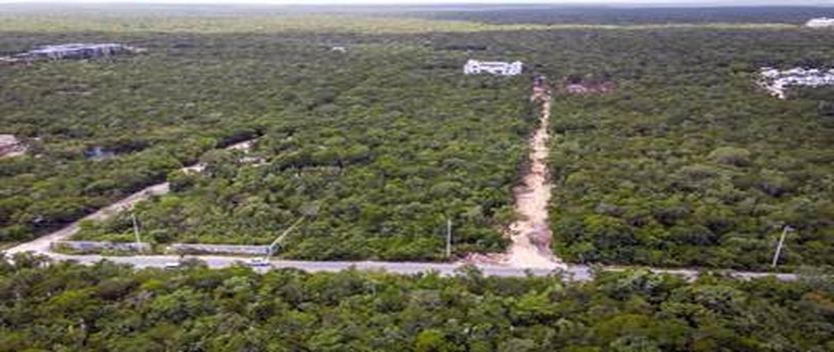 Foto de terreno habitacional en 37 poniente , region 15 kukulcan, tulum, quintana roo, 0 foto 03 Foto de terreno habitacional en venta en 37 poniente , region 15 kukulcan, tulum, quintana roo, 0 No. 03