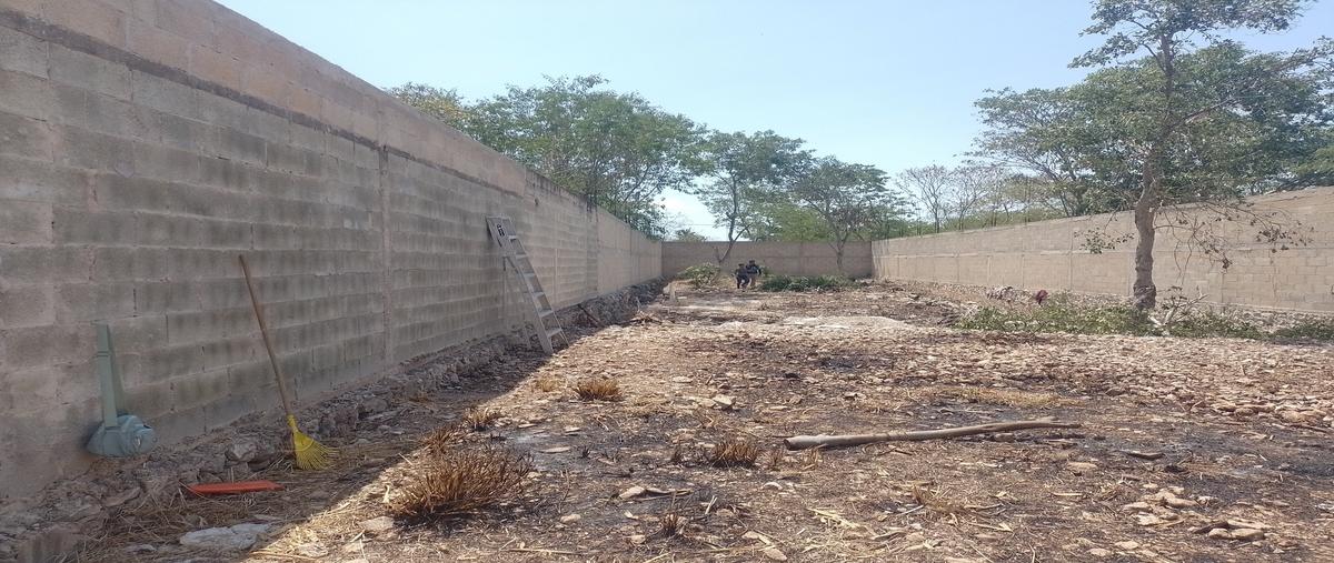 Foto de terreno habitacional en venta en 38 , dzitya, mérida, yucatán, 30155911 No. 03