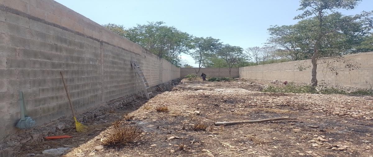 Foto de terreno habitacional en venta en 38 , dzitya, mérida, yucatán, 30155911 No. 04