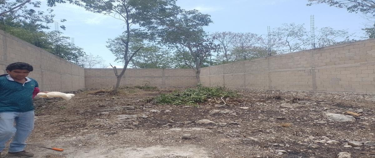 Foto de terreno habitacional en venta en 38 , dzitya, mérida, yucatán, 30155911 No. 05