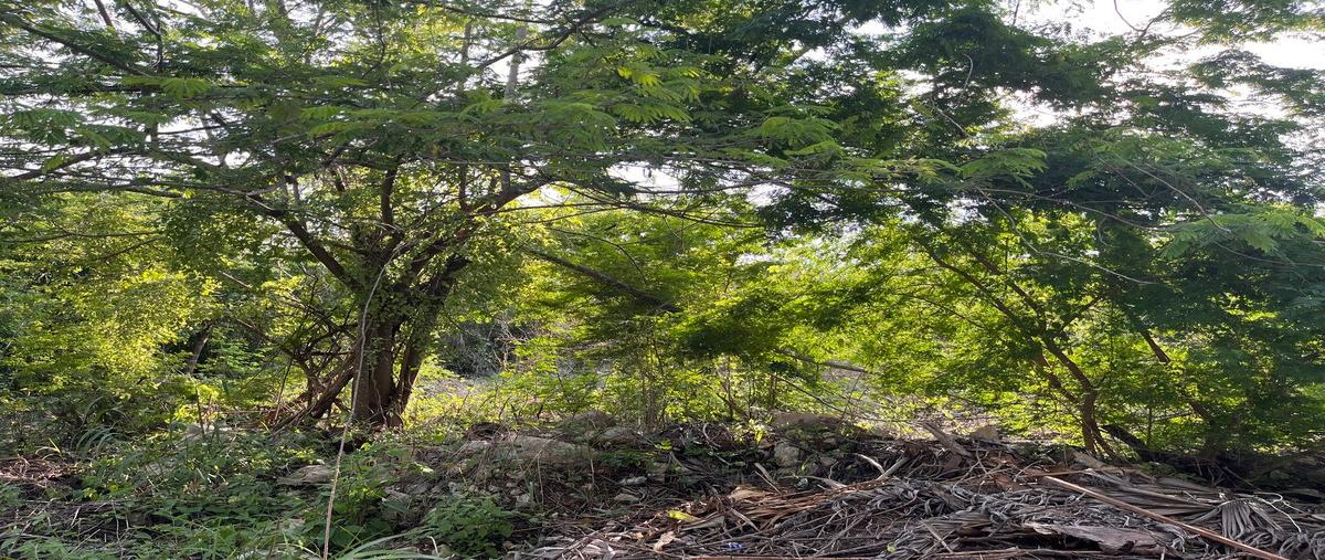 Foto de terreno habitacional en venta en 38 , las margaritas de cholul, mérida, yucatán, 0 No. 05