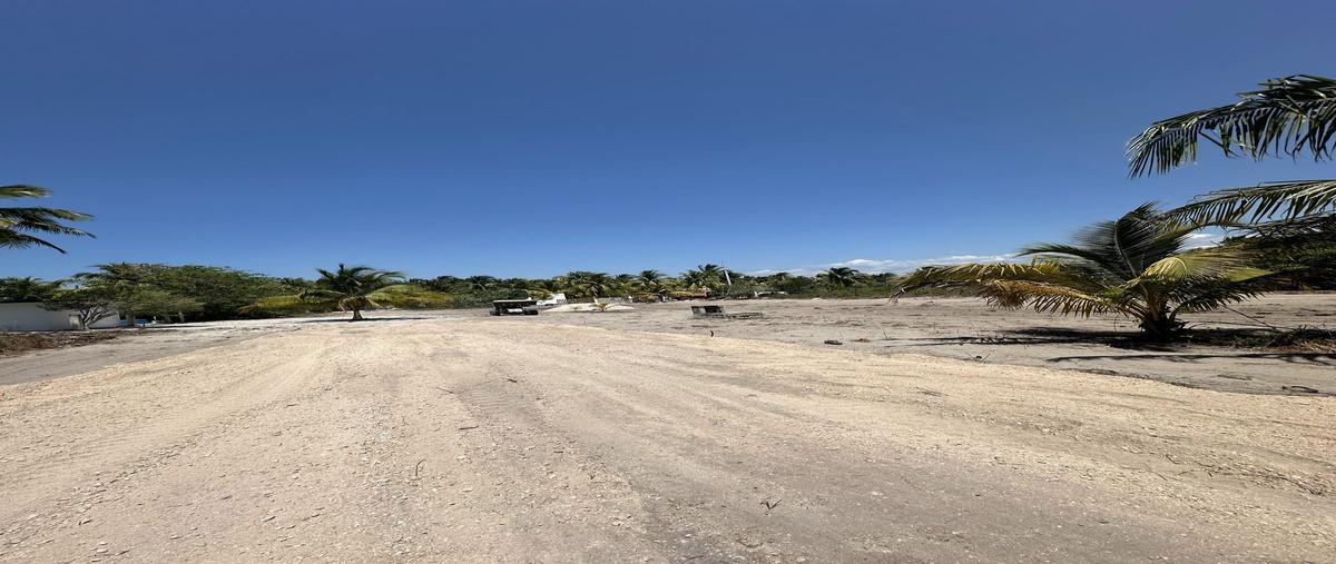 Foto de terreno habitacional en venta en 38 , telchac puerto, telchac puerto, yucatán, 28114142 No. 05