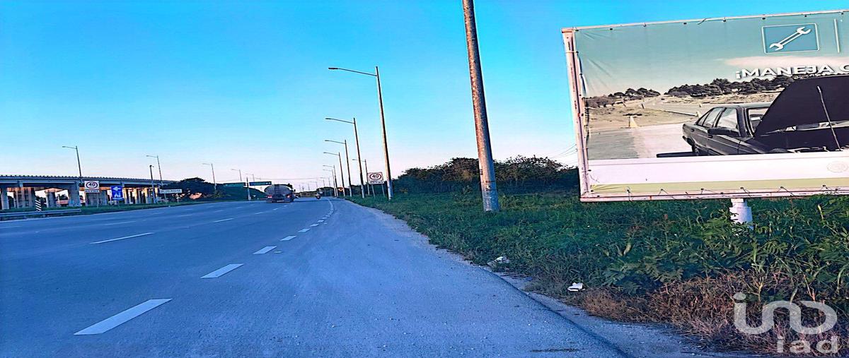 Foto de terreno habitacional en venta en 39 199, santa maría yaxché, mérida, yucatán, 28722983 No. 03