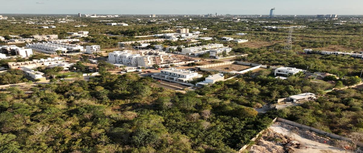 Foto de casa en 39fg+mftemozon norte97740 méridayuc. , temozon norte, mérida, yucatán, 28452519 foto 04 Foto de casa en venta en 39fg+mftemozon norte97740 méridayuc. , temozon norte, mérida, yucatán, 28452519 No. 04