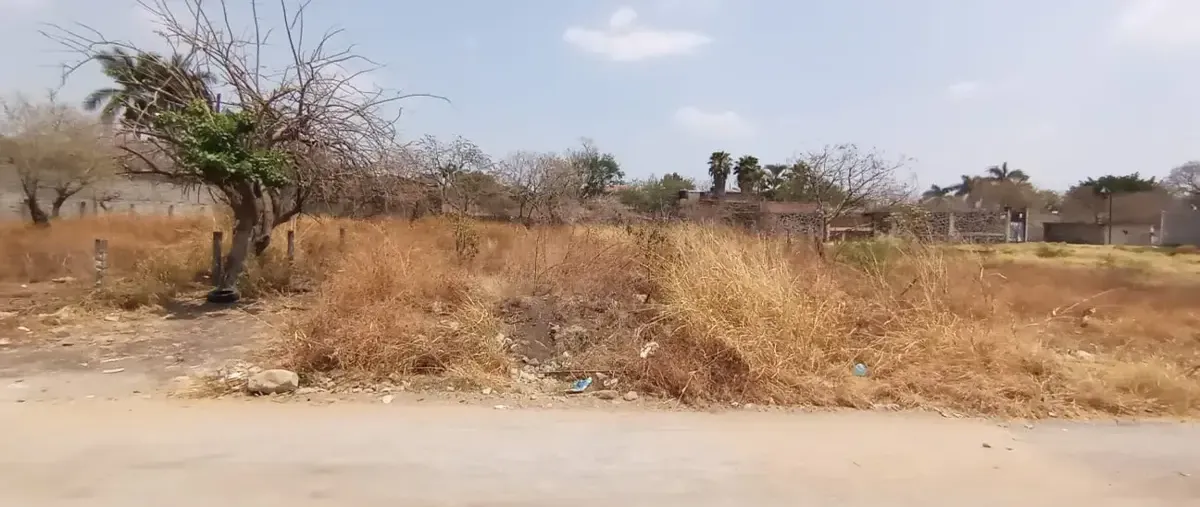 Foto de terreno habitacional en venta en 3a de rodriguez 0, tres de mayo, emiliano zapata, morelos, 0 No. 02