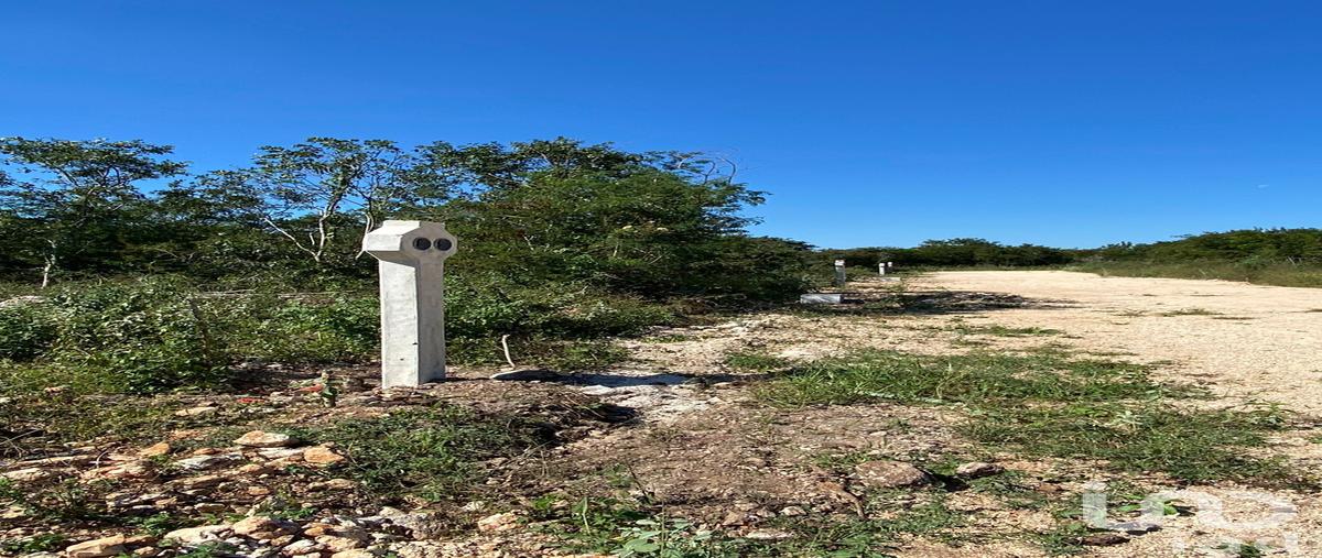 Foto de terreno habitacional en 4 152, sitpach, mérida, yucatán, 28723462 foto 04 Foto de terreno habitacional en venta en 4 152, sitpach, mérida, yucatán, 28723462 No. 04