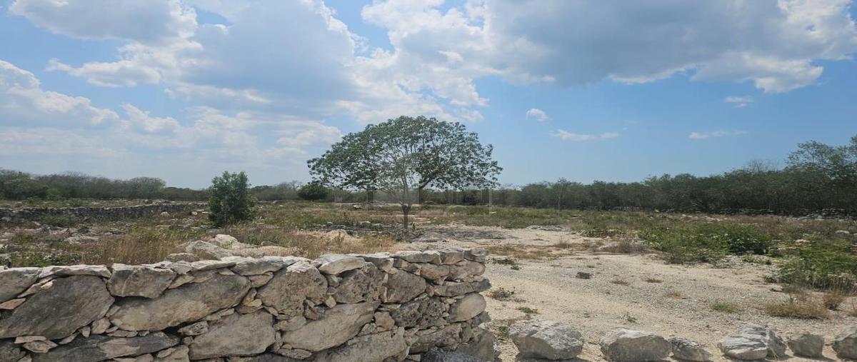 Foto de terreno habitacional en venta en 4 53, tamanché, mérida, yucatán, 0 No. 04