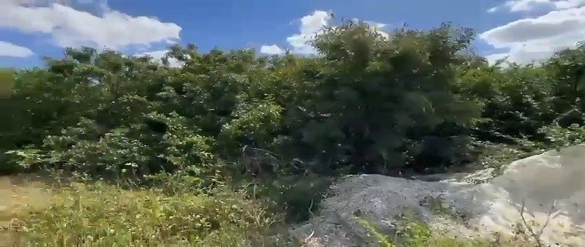 Foto de terreno habitacional en venta en 4 , chelem, progreso, yucatán, 30838949 No. 03