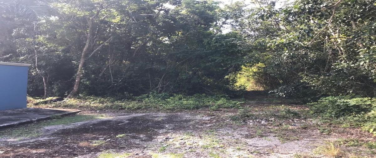 Foto de terreno habitacional en venta en 4 , chen-tuk, cozumel, quintana roo, 29045053 No. 05