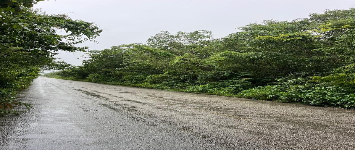 Foto de terreno habitacional en venta en 4 , chichimila, chichimilá, yucatán, 0 No. 04