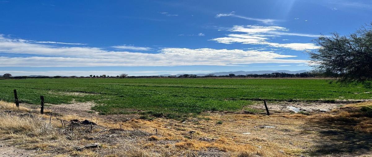 Foto de terreno habitacional en venta en  , 4 de octubre y delicias, durango, durango, 27837242 No. 03