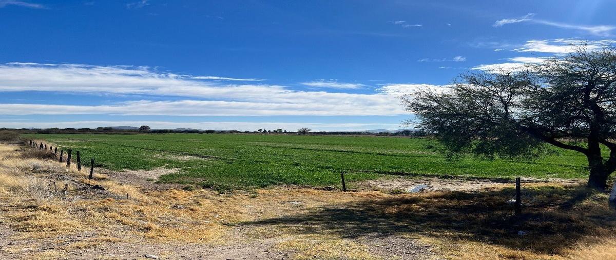 Foto de terreno habitacional en venta en  , 4 de octubre y delicias, durango, durango, 27837242 No. 05