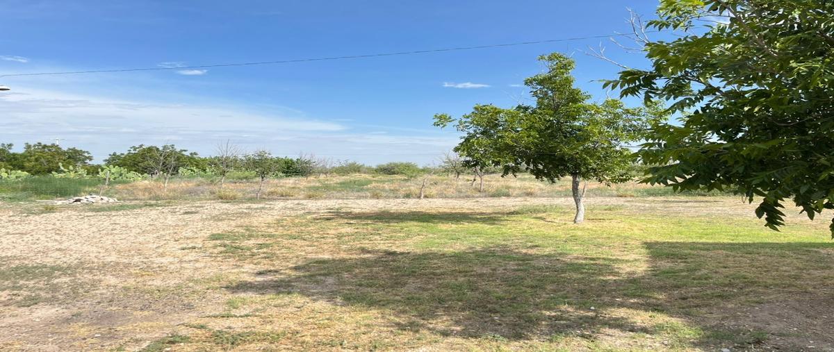 Foto de rancho en venta en  , 4 milpas infonavit, camargo, chihuahua, 0 No. 04