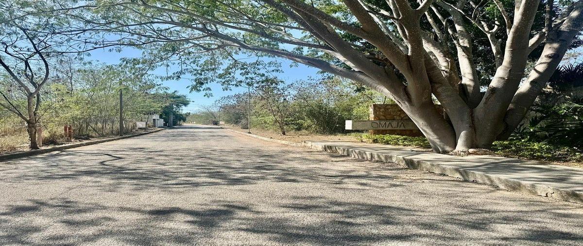 Foto de terreno habitacional en venta en 4 , santa gertrudis copo, mérida, yucatán, 30847979 No. 03