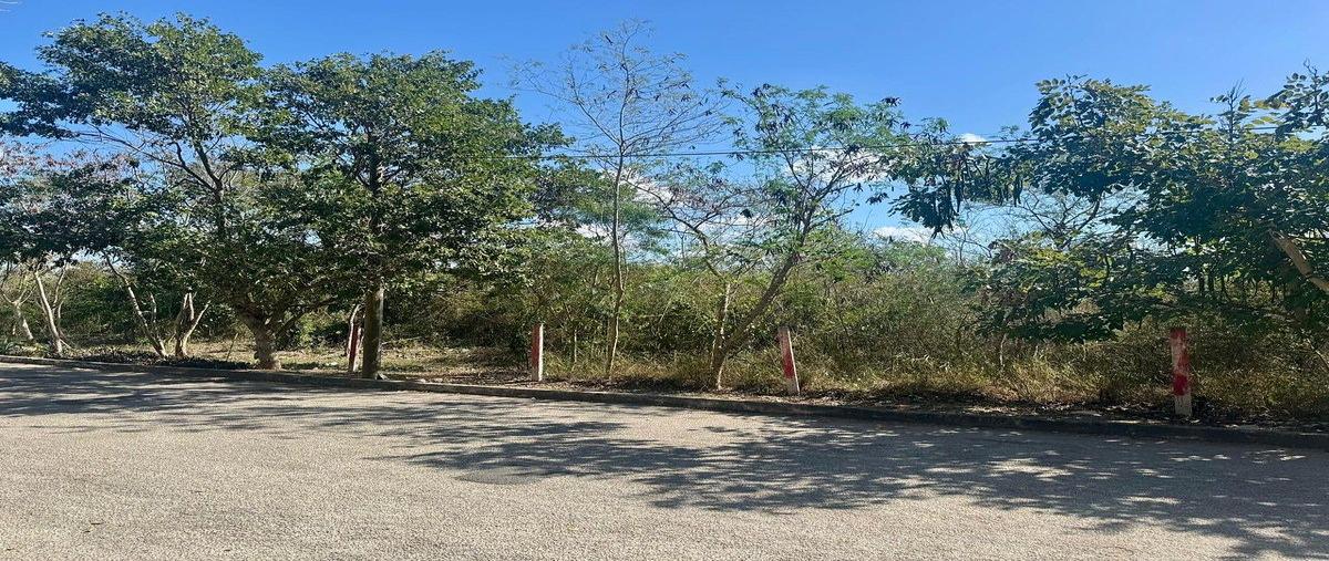 Foto de terreno habitacional en venta en 4 , santa gertrudis copo, mérida, yucatán, 30847979 No. 04